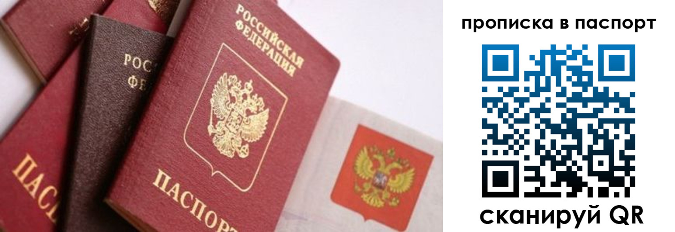 прописка штамп в Петушках